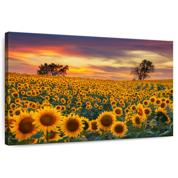 Elephant Stock Sunflower Field Dusk Wall Art - Horizontal Canvas Wall Art - Living Room Wall Decor - Nature Canvas - Purple And Teal Decor - 24" x 16"