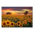 thumbnail image 1 of Elephant Stock Sunflower Field Dusk Wall Art - Horizontal Canvas Wall Art - Living Room Wall Decor - Nature Canvas - Purple And Teal Decor - 24" x 16", 1 of 4