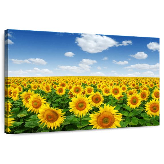 Elephant Stock Sunflower Field Horizon Wall Art - Horizontal Canvas Wall Art - Living Room Wall Decor - Nature Canvas - Orange And Blue Decor - 39" x 26"
