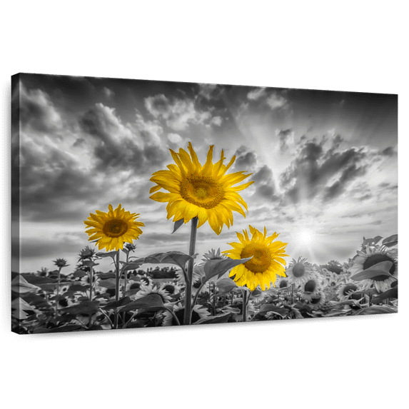 Elephant Stock Sunflowers In Sunset Yellow Color Pop Wall Art - Horizontal Canvas Wall Art - Living Room Wall Decor - Floral And Botanical Canvas - Orange And Gray Decor By Melanie Viola - 12" x 8"