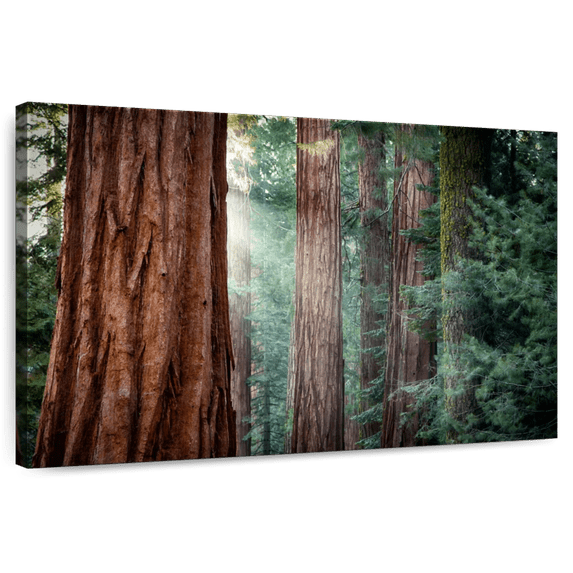 Elephant Stock Sunkissed Sequoia Trees Wall Art - Horizontal Canvas Wall Art - Living Room Wall Decor - Floral And Botanical Canvas - Green And Brown Decor - 39" x 26"