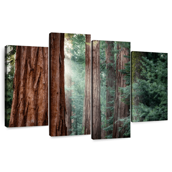 Elephant Stock Sunkissed Sequoia Trees Wall Art - Horizontal Multi Panel Canvas - Living Room Wall Decor - Floral And Botanical Multi Panel - Green And Brown Decor - 36" x 22"