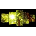 thumbnail image 1 of Elephant Stock Sunlit Cedar Forest Wall Art - Horizontal Multi Panel Canvas - Living Room Wall Decor - Floral And Botanical Multi Panel - Green And Gold Decor - 92" x 42", 1 of 4