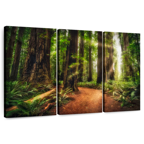 Elephant Stock Sunrise At Jedediah Redwoods State Park Wall Art - Horizontal Multi Panel Canvas - Living Room Wall Decor - Nature Multi Panel - Brown And Orange Decor By Scott Stulberg - 33" x 20"
