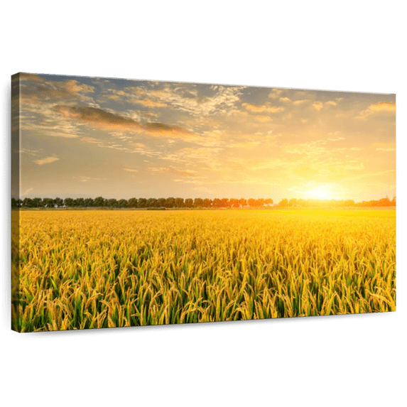Elephant Stock Sunset Field Wall Art - Horizontal Canvas Wall Art - Living Room Wall Decor - Nature Canvas - Gray And Orange Decor - 48" x 32"