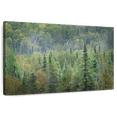 thumbnail image 1 of Elephant Stock Superior National Forest Wall Art - Horizontal Canvas Wall Art - Living Room Wall Decor - Nature Canvas - Green And Gray Decor By Alan Majchrowicz - 51" x 34", 1 of 8