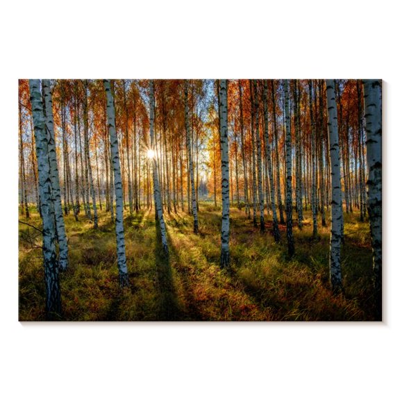 Elephant Stock Swedish Birch Forest Wall Art - Horizontal Canvas Wall Art - Living Room Wall Decor - Nature Canvas - Orange And Green Decor - 12" x 8"
