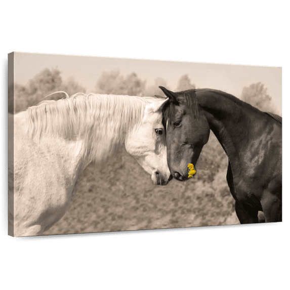 Elephant Stock Sweet Black And White Horses Wall Art - Horizontal Canvas Wall Art - Living Room Wall Decor - Love Canvas - Gray And Beige Decor - 36" x 24"