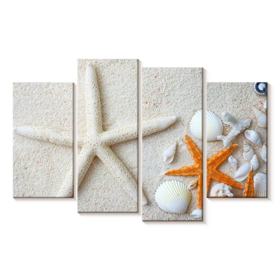 Elephant Stock Swept Ashore Seashells Wall Art - Horizontal Multi Panel Canvas - Living Room Wall Decor - Nautical Multi Panel - Beige And Orange Decor - 36" x 22"