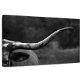 thumbnail image 1 of Elephant Stock Texas Longhorn Cattle Wall Art - Horizontal Canvas Wall Art - Living Room Wall Decor - Animal Canvas - White And Black Decor - 12" x 8", 1 of 8