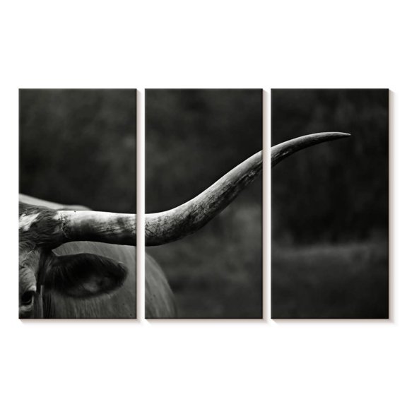 Elephant Stock Texas Longhorn Cattle Wall Art - Horizontal Multi Panel Canvas - Living Room Wall Decor - Animal Multi Panel - White And Black Decor - 45" x 28"