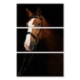 thumbnail image 1 of Elephant Stock Thoroughbred Horse In The Dark Wall Art - Vertical Multi Panel Canvas - Mancave Wall Decor - Animal Multi Panel - Black And Brown Decor - 14" x 23", 1 of 4
