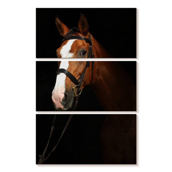 Elephant Stock Thoroughbred Horse In The Dark Wall Art - Vertical Multi Panel Canvas - Mancave Wall Decor - Animal Multi Panel - Black And Brown Decor - 14" x 23"