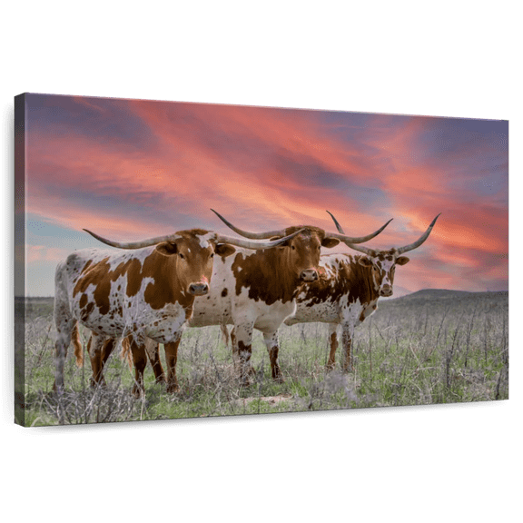 Elephant Stock Three Texas Longhorns Wall Art - Horizontal Canvas Wall Art - Bedroom Wall Decor - Animal Canvas - Gray And Brown Decor - 12" x 8"