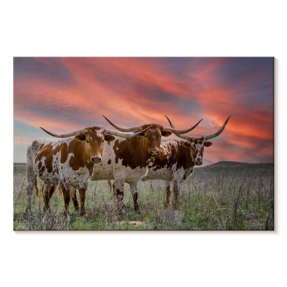 Elephant Stock Three Texas Longhorns Wall Art - Horizontal Canvas Wall Art - Bedroom Wall Decor - Animal Canvas - Gray And Brown Decor - 48" x 32"