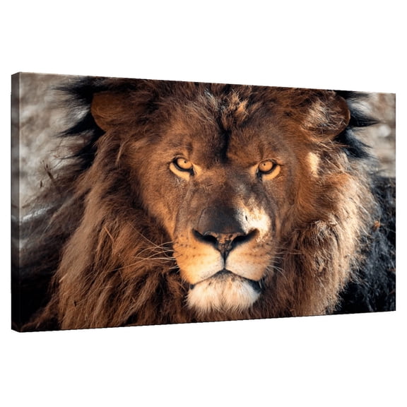 Elephant Stock Tough Lion Head Wall Art - Horizontal Canvas Wall Art - Dining Room Wall Decor - Animal Canvas - Brown And Black Decor - 12" x 8"