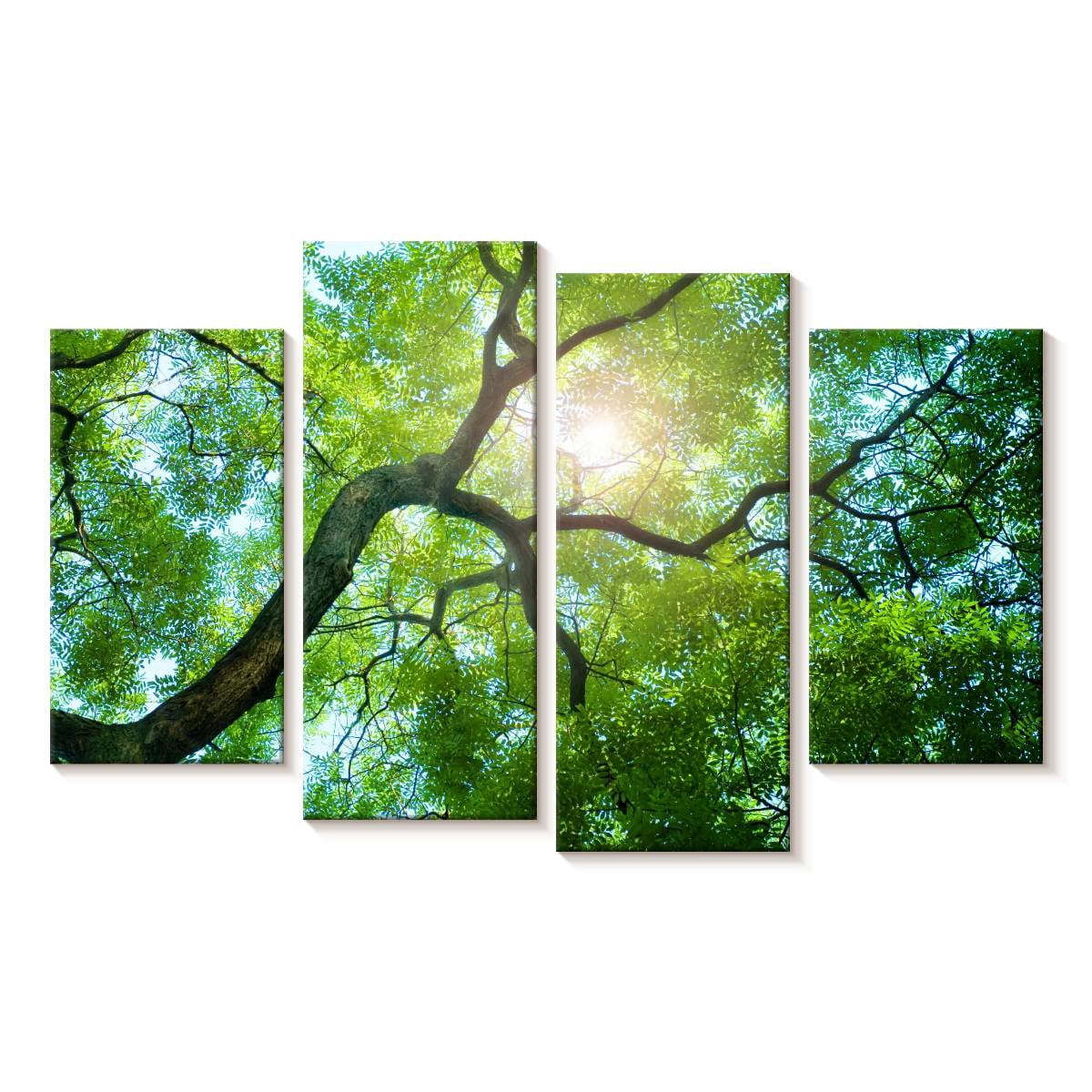 Elephant Stock Tree Canopy Sunshine Wall Art - Horizontal Multi Panel ...