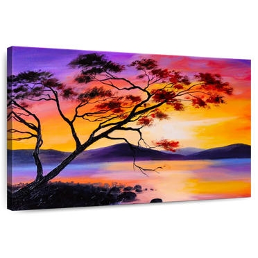 Elephant Stock Yosemite Stunning Stars Wall Art - Horizontal Canvas ...