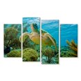 thumbnail image 1 of Elephant Stock Turtle In Bonaire Reef Wall Art - Horizontal Multi Panel Canvas - Living Room Wall Decor - Animal Multi Panel - Yellow And Green Decor - 30" x 18", 1 of 4