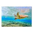 thumbnail image 1 of Elephant Stock Turtle Dive Wall Art - Horizontal Canvas Wall Art - Living Room Wall Decor - Animal Canvas - Yellow And Green Decor - 30" x 20", 1 of 8