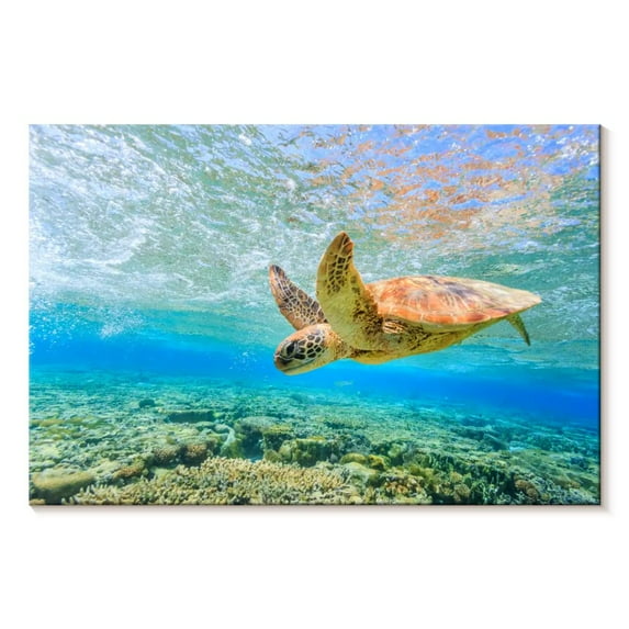 Elephant Stock Turtle Dive Wall Art - Horizontal Canvas Wall Art - Living Room Wall Decor - Animal Canvas - Yellow And Green Decor - 30" x 20"