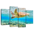 thumbnail image 1 of Elephant Stock Turtle Dive Wall Art - Horizontal Multi Panel Canvas - Living Room Wall Decor - Animal Multi Panel - Yellow And Green Decor - 84" x 54", 1 of 8