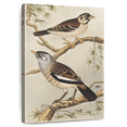 thumbnail image 1 of Elephant Stock Twee Vogels Op Takken Wall Art - Vertical Canvas Wall Art - Living Room Wall Decor - Animal Canvas - Gray And Brown Decor By Theo Van Hoytema - 16" x 24", 1 of 8