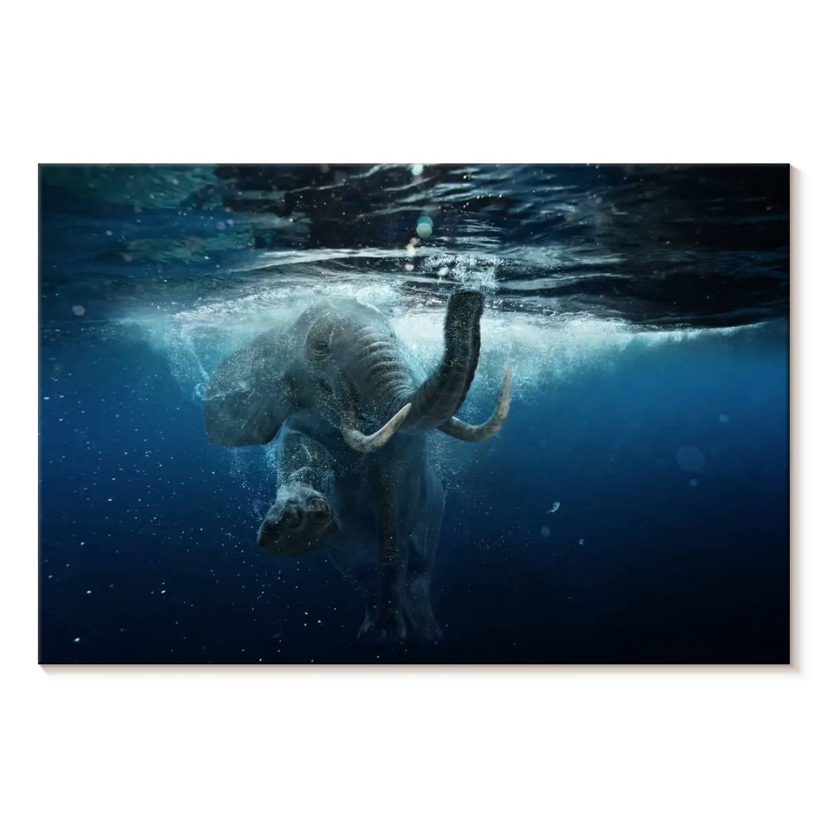 Elephant Stock Underwater Elephant Wall Art - Horizontal Canvas Wall ...