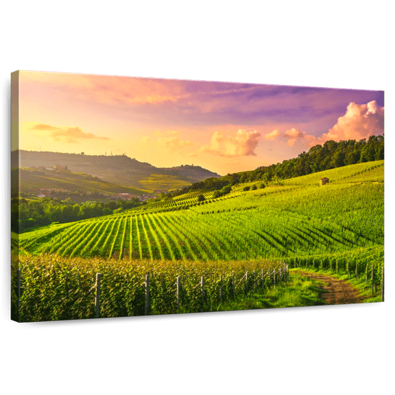 Elephant Stock Vineyards In Langhe Wall Art - Horizontal Canvas Wall Art - Living Room Wall Decor - Nature Canvas - Gray And Green Decor - 12" x 8"