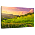 thumbnail image 1 of Elephant Stock Vineyards In Langhe Wall Art - Horizontal Canvas Wall Art - Living Room Wall Decor - Nature Canvas - Gray And Green Decor - 48" x 32", 1 of 8