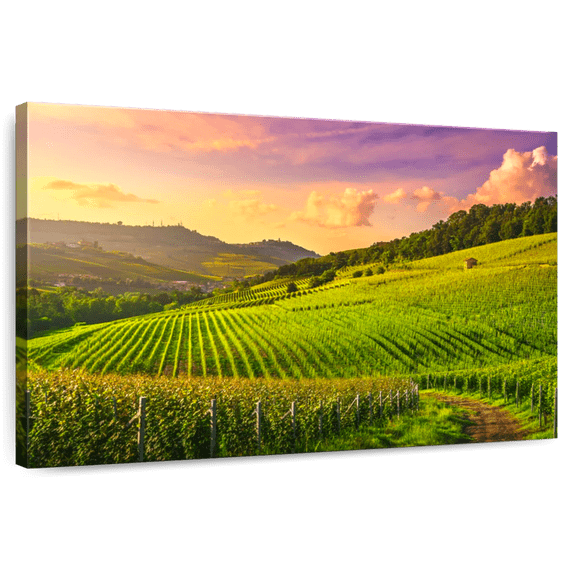 Elephant Stock Vineyards In Langhe Wall Art - Horizontal Canvas Wall Art - Living Room Wall Decor - Nature Canvas - Gray And Green Decor - 48" x 32"