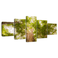 thumbnail image 1 of Elephant Stock Waipoua Kauri Trees Wall Art - Horizontal Multi Panel Canvas - Living Room Wall Decor - Floral And Botanical Multi Panel - Green And Gray Decor - 80" x 36", 1 of 8