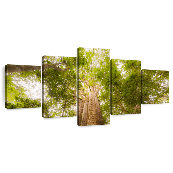 Elephant Stock Waipoua Kauri Trees Wall Art - Horizontal Multi Panel Canvas - Living Room Wall Decor - Floral And Botanical Multi Panel - Green And Gray Decor - 80" x 36"