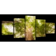 thumbnail image 1 of Elephant Stock Waipoua Kauri Trees Wall Art - Horizontal Multi Panel Canvas - Living Room Wall Decor - Floral And Botanical Multi Panel - Green And Gray Decor - 80" x 36", 1 of 4