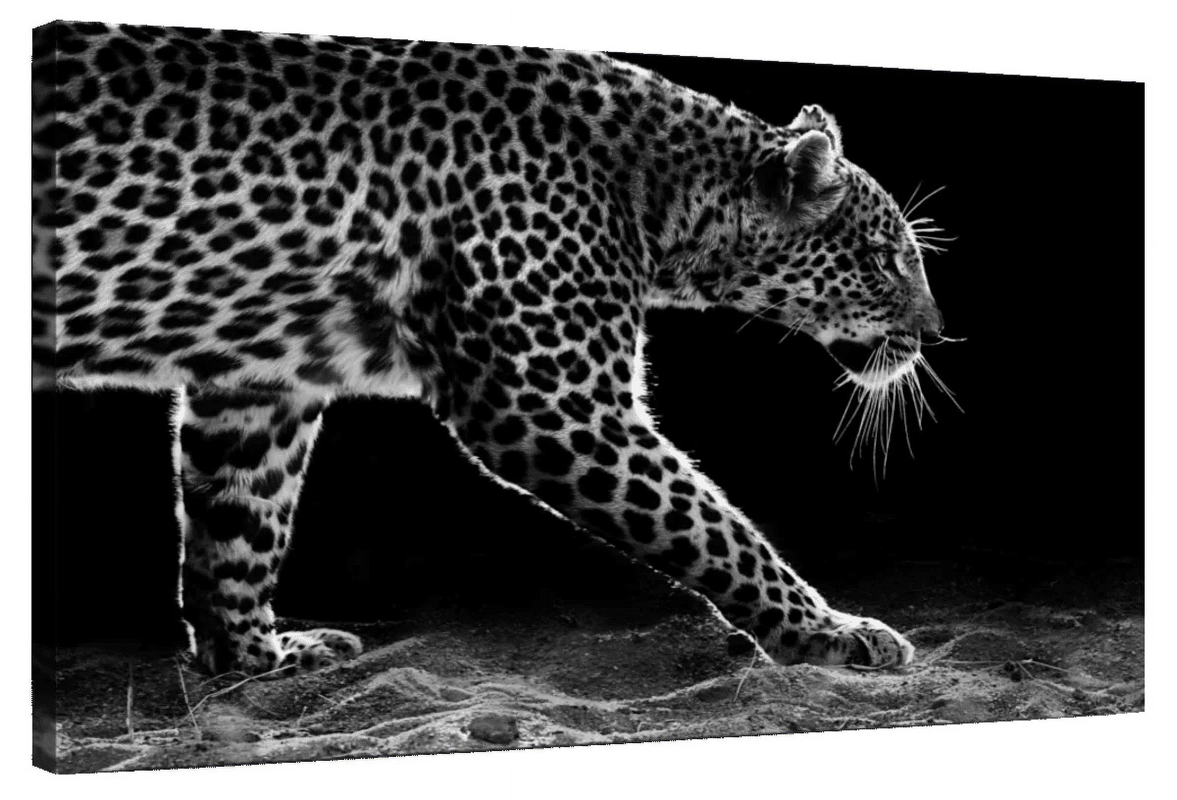 Elephant Stock Walking Leopard Wall Art Horizontal Canvas Wall Art
