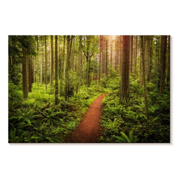 Elephant Stock Washington Rainforest Wall Art - Horizontal Canvas Wall Art - Living Room Wall Decor - Nature Canvas - Green And Brown Decor - 12" x 8"