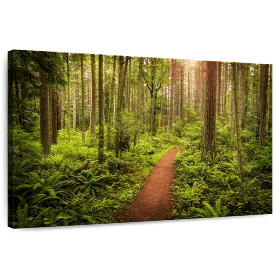 Elephant Stock Washington Rainforest Wall Art - Horizontal Canvas Wall Art - Living Room Wall Decor - Nature Canvas - Green And Brown Decor - 39" x 26"