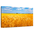 thumbnail image 1 of Elephant Stock Wheat Field Ready For Harvest Wall Art - Horizontal Canvas Wall Art - Living Room Wall Decor - Floral And Botanical Canvas - Blue And Brown Decor - 36" x 24", 1 of 8