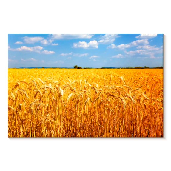 Elephant Stock Wheat Field Ready For Harvest Wall Art - Horizontal Canvas Wall Art - Living Room Wall Decor - Floral And Botanical Canvas - Blue And Brown Decor - 36" x 24"