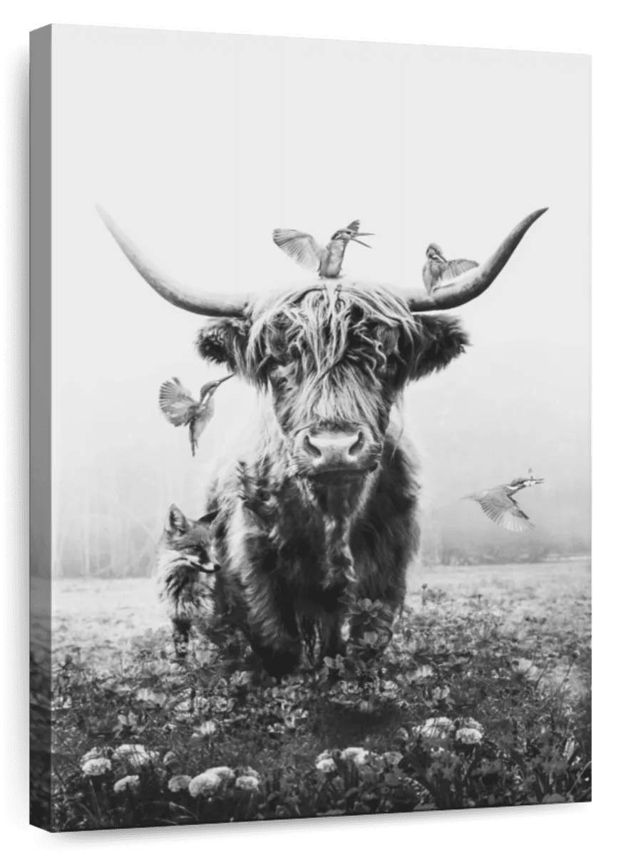 Elephant Stock White Highlander Wall Art - Vertical Canvas Wall Art ...