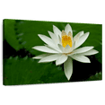 thumbnail image 1 of Elephant Stock White Lotus Flower Wall Art - Horizontal Canvas Wall Art - Living Room Wall Decor - Floral And Botanical Canvas - Green And Black Decor - 51" x 34", 1 of 8