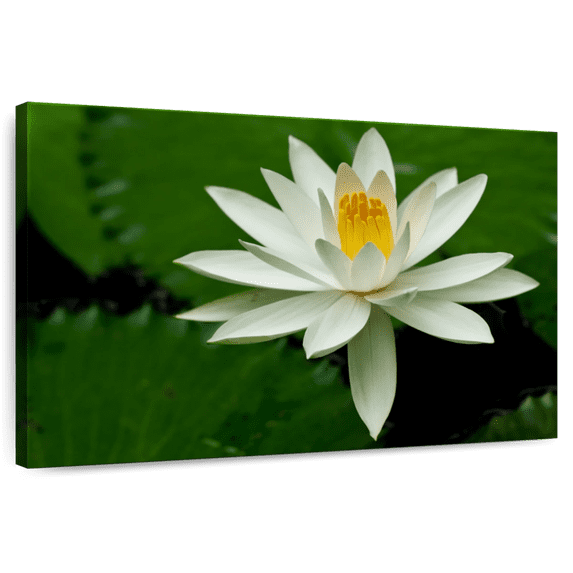 Elephant Stock White Lotus Flower Wall Art - Horizontal Canvas Wall Art - Living Room Wall Decor - Floral And Botanical Canvas - Green And Black Decor - 51" x 34"