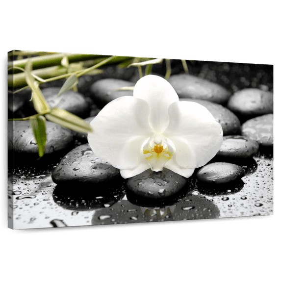 Elephant Stock White Orchid Wall Art - Horizontal Canvas Wall Art - Living Room Wall Decor - Floral And Botanical Canvas - Black And White Decor - 12" x 8"