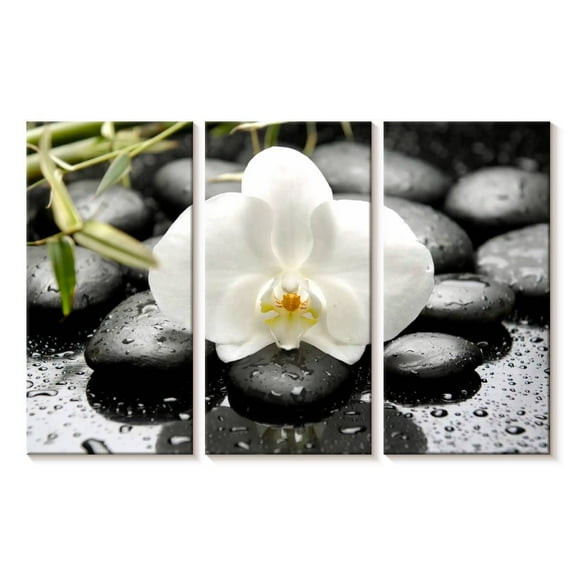 Elephant Stock White Orchid Wall Art - Horizontal Multi Panel Canvas - Living Room Wall Decor - Floral And Botanical Multi Panel - Black And White Decor - 23" x 14"