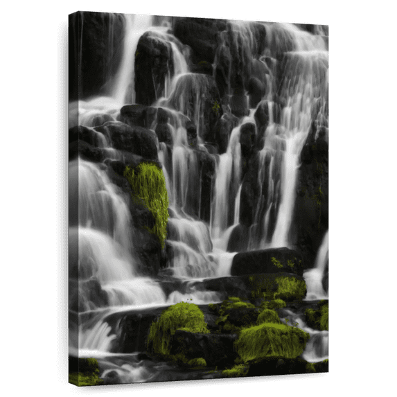 Elephant Stock White Sonority Waterfall Wall Art - Vertical Canvas Wall Art - Living Room Wall Decor - Wellness Canvas - Black And White Decor - 8" x 12"