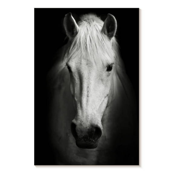 Elephant Stock White Thoroughbred Horse Wall Art - Vertical Canvas Wall Art - Living Room Wall Decor - Animal Canvas - Black And White Decor - 24" x 36"