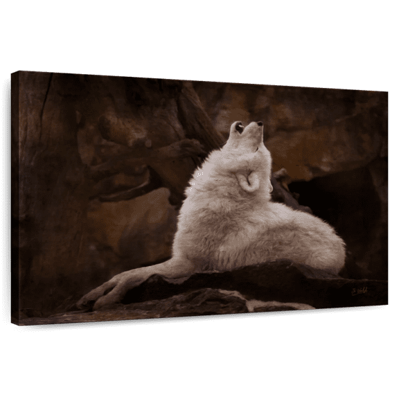 Elephant Stock White Wolf Howling Wall Art - Horizontal Canvas Wall Art - Living Room Wall Decor - Animal Canvas - Beige And Brown Decor By Jo Walsh - 39" x 26"