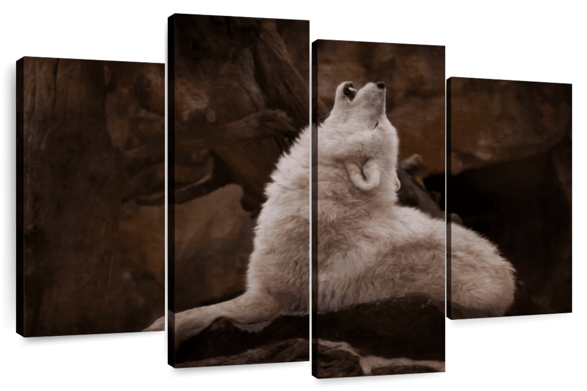 Elephant Stock White Wolf Howling Wall Art Horizontal Multi Panel