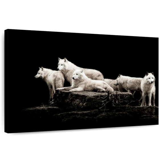 Elephant Stock White Wolves Wall Art - Horizontal Canvas Wall Art - Living Room Wall Decor - Animal Canvas - Black And White Decor - 48" x 32"