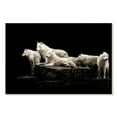 thumbnail image 1 of Elephant Stock White Wolves Wall Art - Horizontal Canvas Wall Art - Living Room Wall Decor - Animal Canvas - Black And White Decor - 48" x 32", 1 of 4